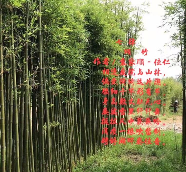 〔诗词专辑〕作者 袁家顺(上海)【冰心文化传媒】(图5)