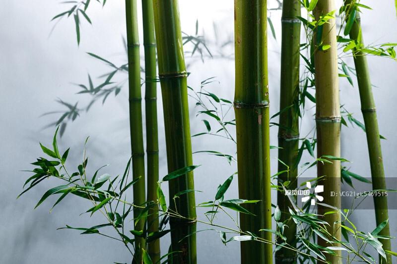 〔格律诗三首〕王世金(大连草根吟叟)【冰心文化传媒】（图4）