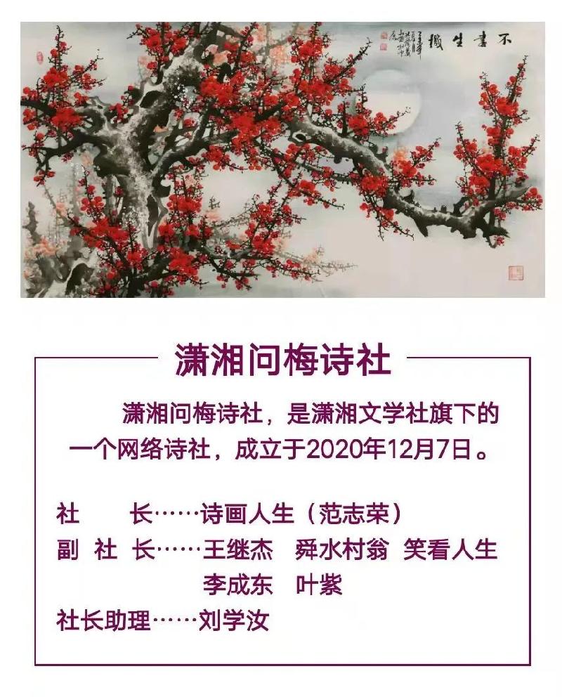 【潇湘文学社】潇湘问梅诗社《山茶花》（总239期）（图2）