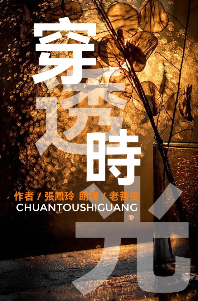 张凤玲诗歌ll穿透时光ll朗诵 老菩提(图2)