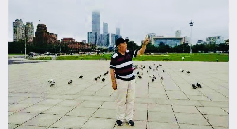 【海外诗译】精品双语朗诵《春天的风铃》作者|潮汐、英译|中权、审译&朗诵|薇薇(图2)