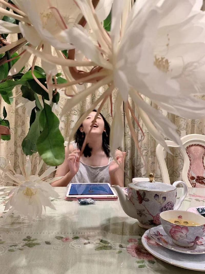 （格律诗小辑）今年昙花又盛开王香谷（澳大利亚）【冰心文化传媒】（图5）