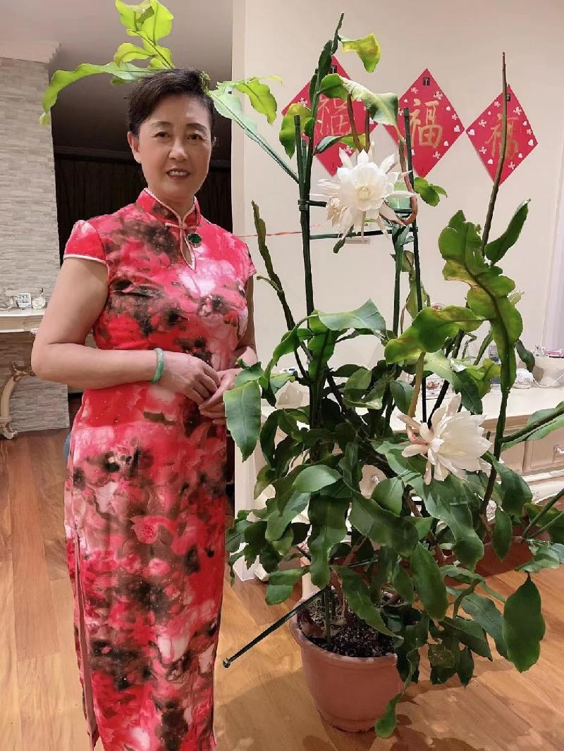 （格律诗小辑）今年昙花又盛开王香谷（澳大利亚）【冰心文化传媒】（图8）