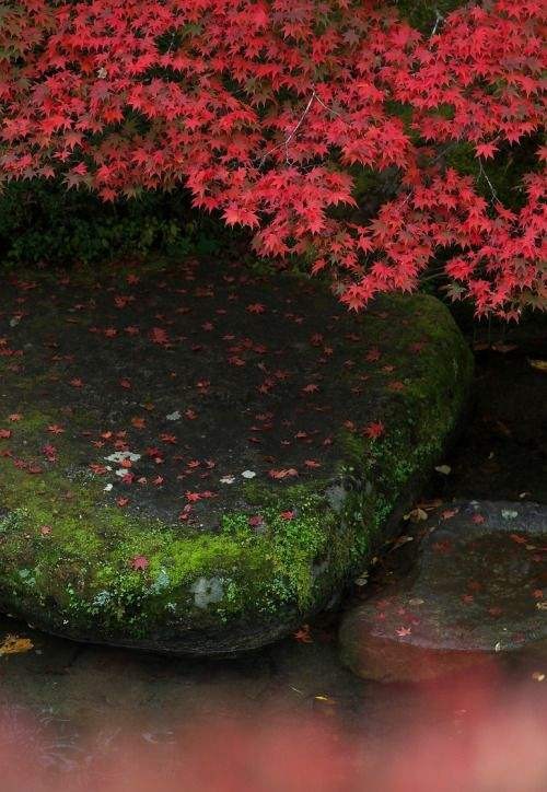 〔现代诗〕二首 作者海流(江苏)【冰心文化传媒】（图6）