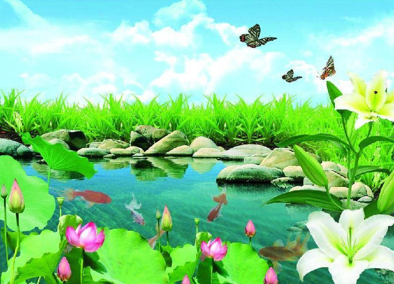 落叶🍂(外两首) ‖ 诗人张维清(图4)