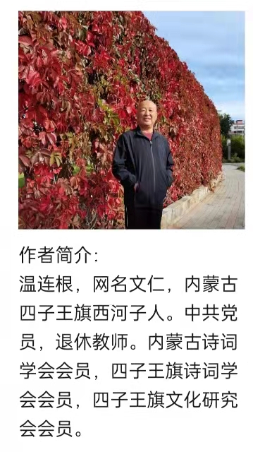 七律•怀念毛主席 温连根（图4）