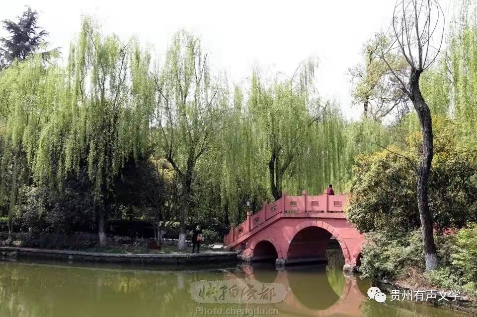 寰俊鍥剧墖_20211224103449.jpg