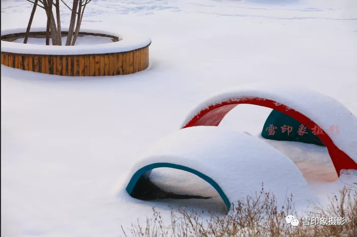雪Ⅱ文/赵京江，摄影/杨淑梅（图6）