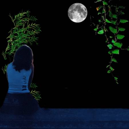 婷婷:夜景遐思