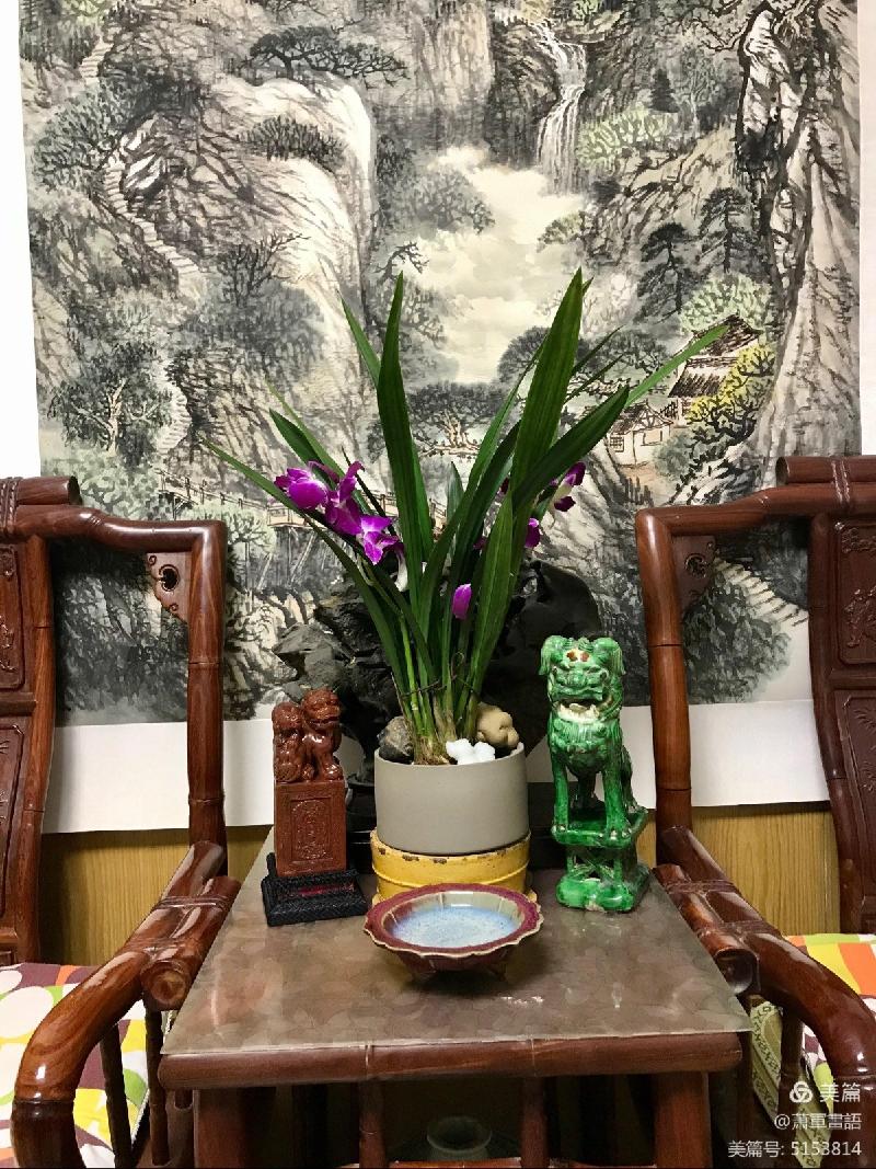 冬日生活筆記 作者 萧軍〔陕西〕【冰心文化传媒】（图20）