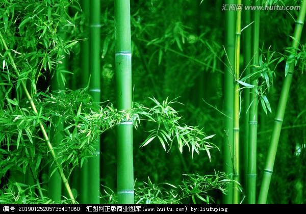 诗词三兄妹步韵“岁寒三友'【冰心文化传媒】(图10)