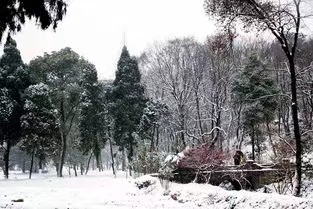 《吹着相同的风》作者/合声 主播/武全 审核/霞光瀑布 编辑/胡琴