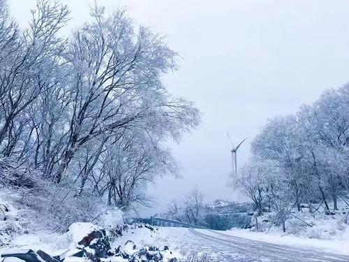 《吹着相同的风》作者/合声 主播/武全 审核/霞光瀑布 编辑/胡琴（图3）
