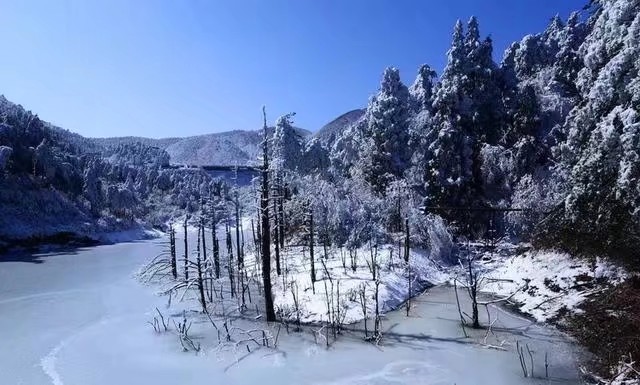 《吹着相同的风》作者/合声 主播/武全 审核/霞光瀑布 编辑/胡琴（图4）