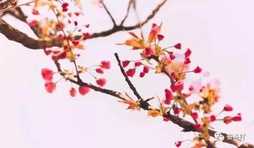 江南诗絮-0486期【现代诗苑】(图5)