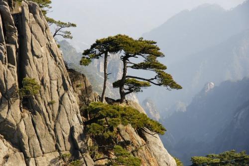 江南诗絮-0486期【现代诗苑】(图27)