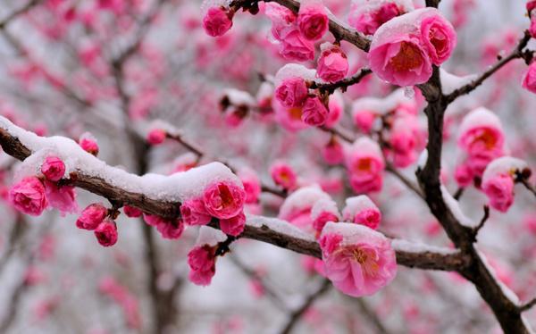 江南诗絮-0486期【现代诗苑】(图32)