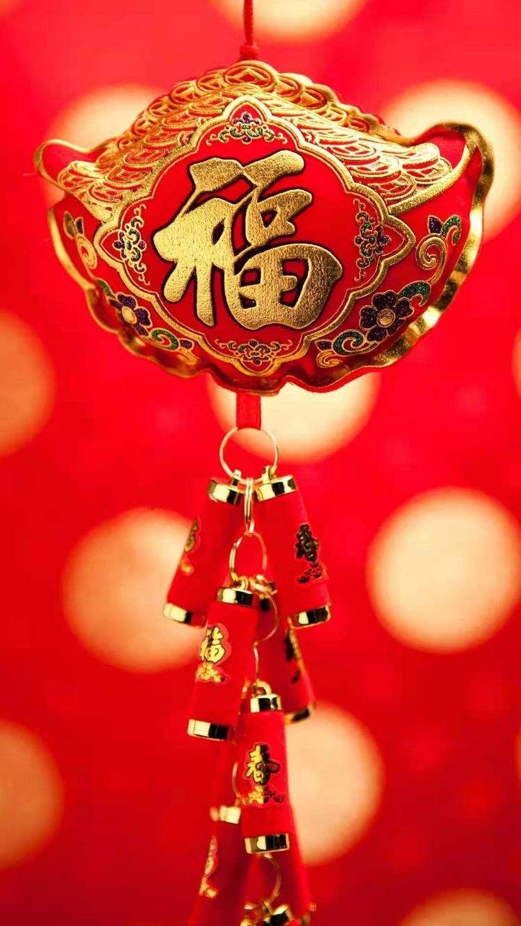 林轩老师倾情演绎墨轩老师的精品佳作:告别2021|海外头条(图4)