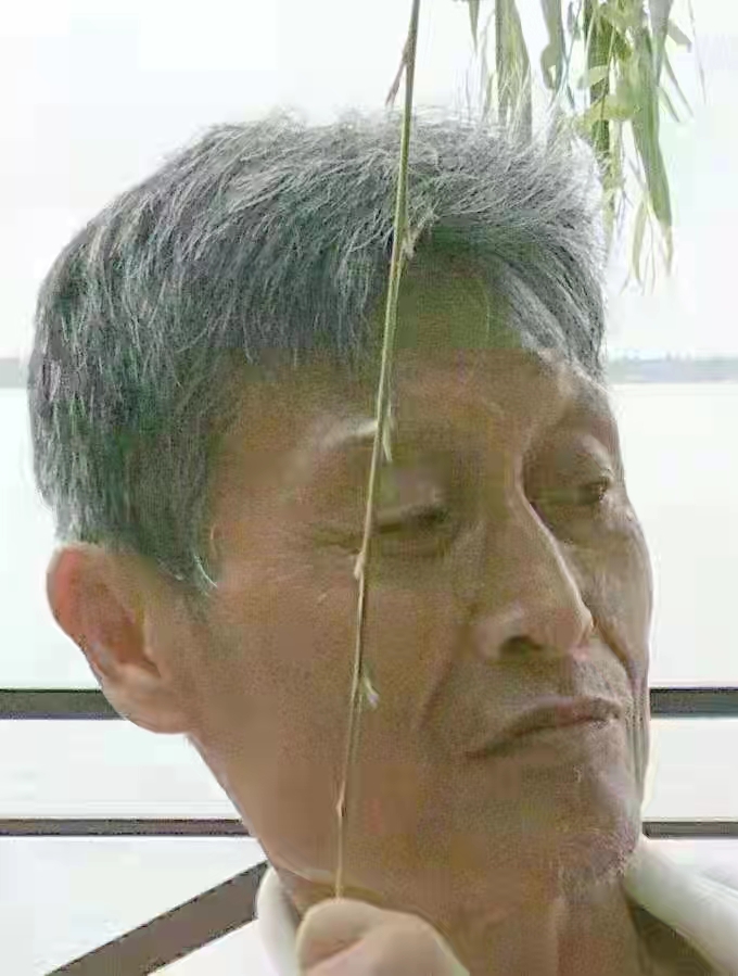 贺宝璇,李文亚精品诗歌《绵绵的思念》海外头条(图3)