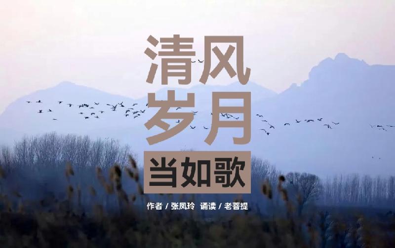 张凤玲诗歌ll清风岁月当如歌ll诵读 老菩提(图2)