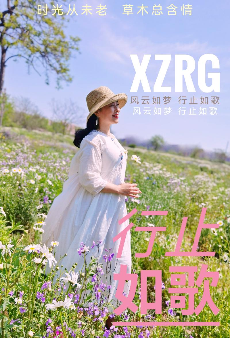 张凤玲诗歌ll清风岁月当如歌ll诵读 老菩提(图9)