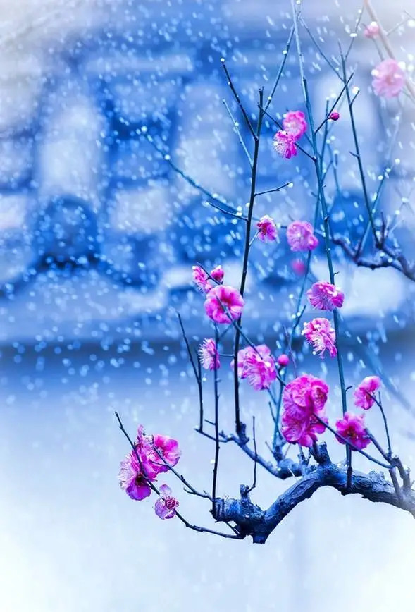 《雪花里走出的童年》开心诗歌欣赏，金牌主播瑞雪，编辑：宋梅【中国长江文学社】有声文学平台第3085期（图5）