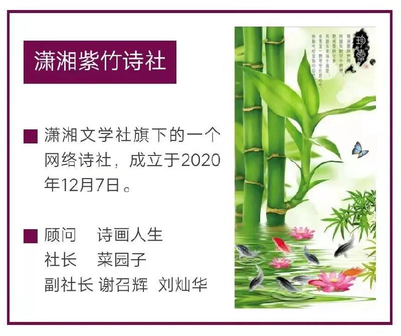 【潇湘文学社】潇湘紫竹诗社《随吟辑》（总250期）（图2）
