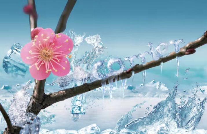 孤馆深沉·梅 隆光诚 广西南宁【冰心文化传媒】(图3)