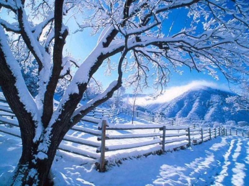《大雪.春的信使》姜光成诗歌,金牌主播梦露诵读,编辑:宋梅【中国长江文学社】有声文学平台第3113期(图4)