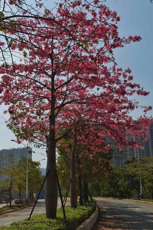 马东佑诗词专刊‖冬之暖 京津沪头条文学平台发布(图5)