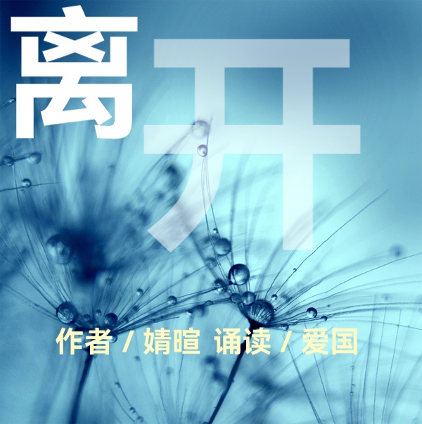 婧暄诗歌ll离开ll诵读 爱国(图2)