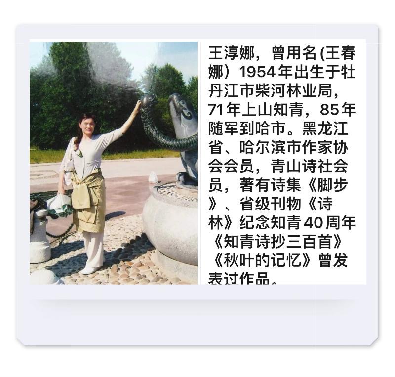 王淳娜老师精品佳作专辑｜海外头条（图6）