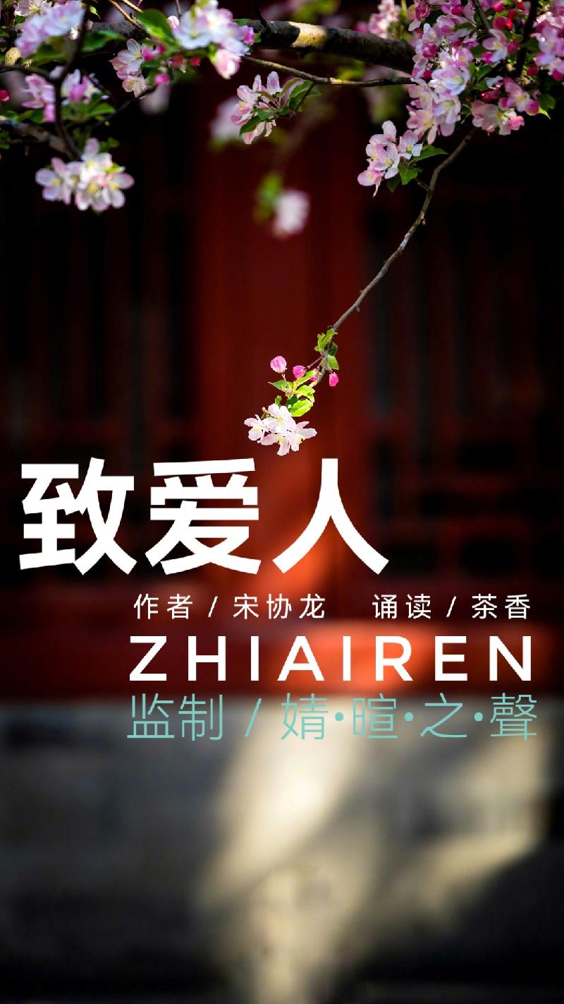 宋协龙诗歌ll致爱人ll诵读 茶香（图2）