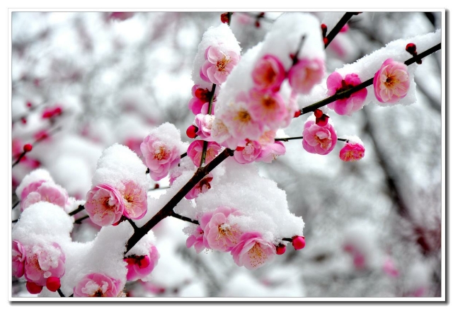 心尘文艺