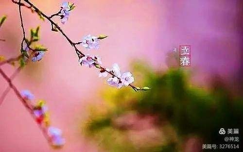 〔诗词小辑〕文 薛有毅(山西)【冰心文化传媒】(图13)