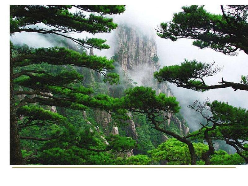 【古都新月诗词学社】第020期《青松》(图21)