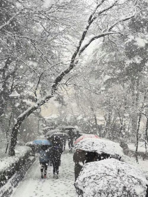 【新山东文学社】《腊月吟冬三首》作者/王兴华 主播/笑笑（图4）