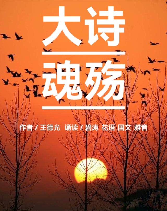 王德光诗歌《大诗魂殇》致敬何先生(图2)