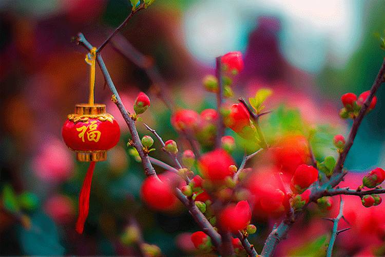 《又一年》作者/文雅儒夫 主播/阿伞 编辑/胡琴(图3)
