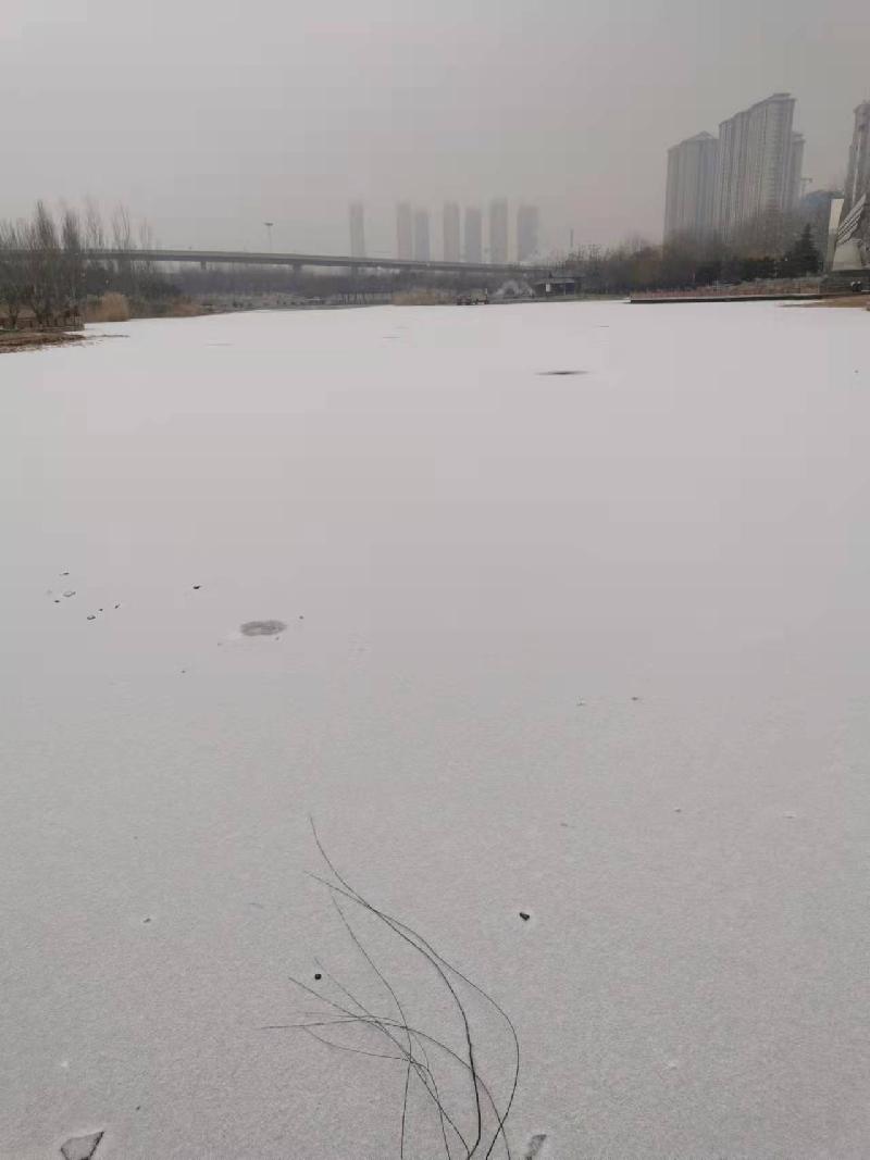 雪中观湖偶成Ⅱ文图/宁文彪（图2）