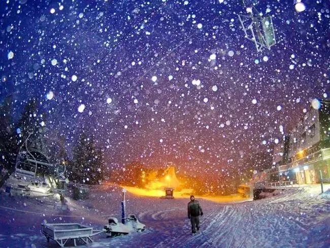 【新诗大观】飘飞的雪||文/最美的时光(图3)