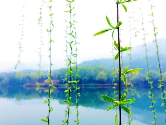 〔现代诗〕（五首）作者 晓剑（山西）【冰心文化传媒】（图8）
