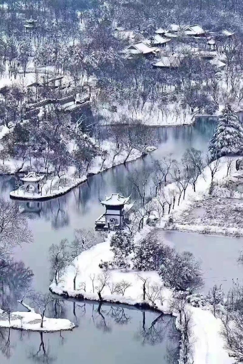 【情景再现】冬旱雪花飞：文／王福兰（陕西西安）（图2）