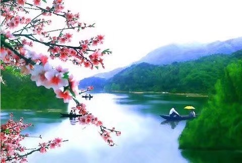 《叶绿花红春归处》作者/文雅儒夫 主播/馨园小主 编辑/胡琴