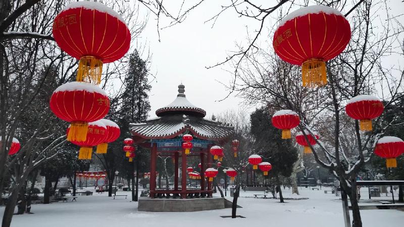 【新诗大观】踏雪游园||文/金粉玉蝶||摄影/阿涛