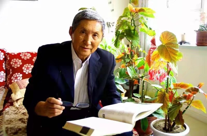 【九江文学社:北京头条】推荐欣赏王述成先生精品佳作(图6)