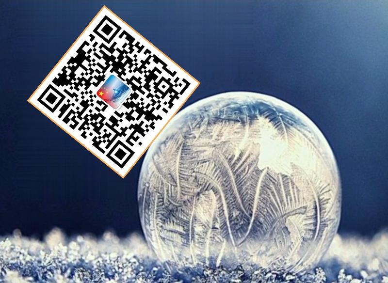 【中国字话】傲雪红梅诵读《雪咏》文/舟子//制作/田爽【第71期】（图11）