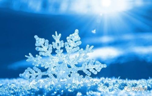 【九江文学社：北京头条】《洁白的雪花 》 作词/洪新爱（原创首发）（图2）