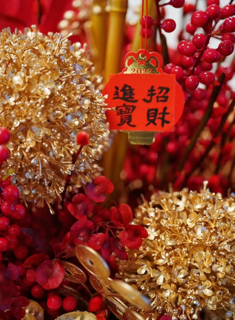 心尘文艺(图2)