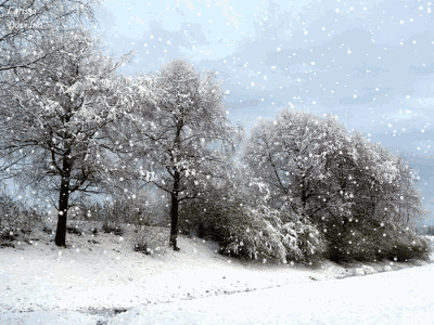【枫雅汇看图约诗】第222期《故乡的雪》(图20)